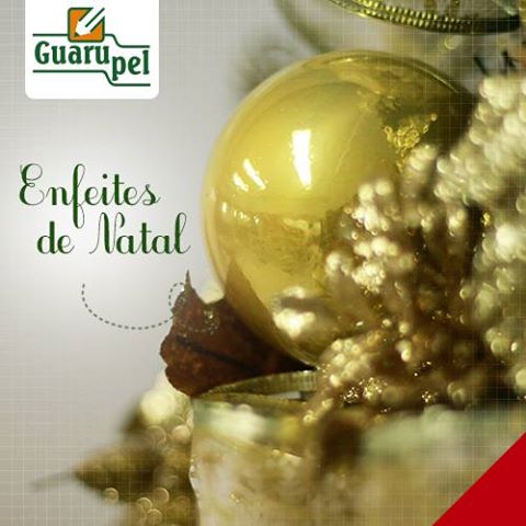rede-social-facebook-guarupel-6